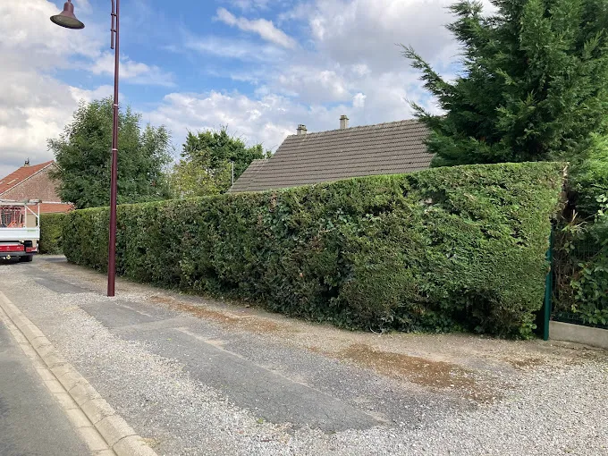 Taille de haie au cordeau, Saint-Quentin, Avenir Vert