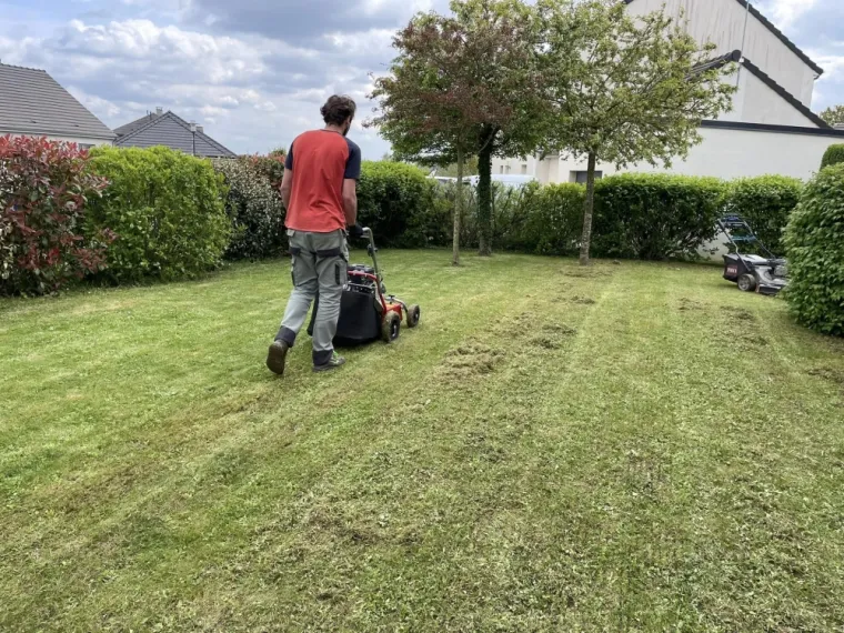 Scarification d’une pelouse dans le jardin d'un particulier à Saint-Quentin, Saint-Quentin, Avenir Vert