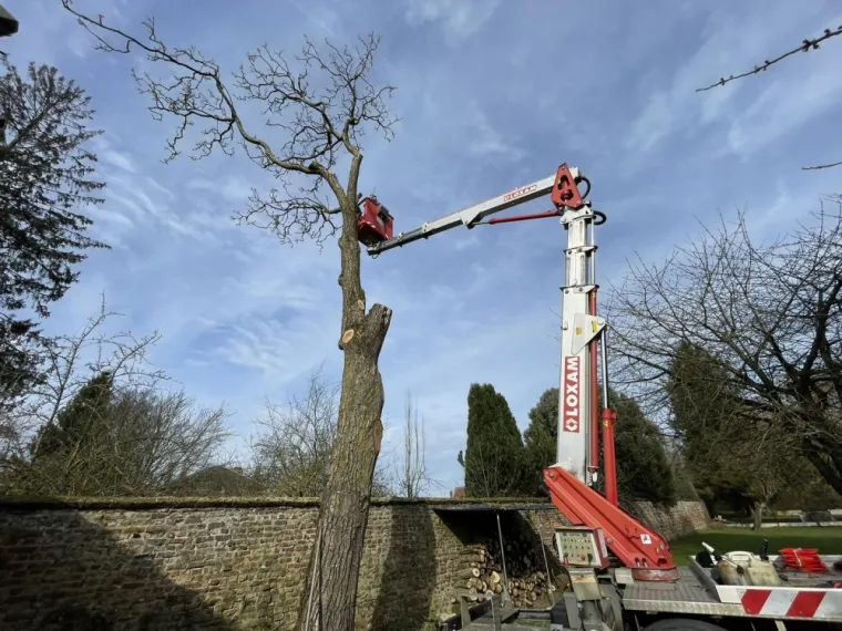 Travaux d’élagage et abattage d’arbres avec l'utilisation de nacelles vers Saint-Quentin, Saint-Quentin, Avenir Vert