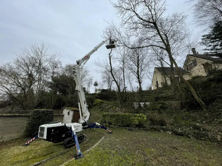 Élagage d'arbre avec une nacelle à Rouvroy par Avenir Vert, Saint-Quentin, Avenir Vert