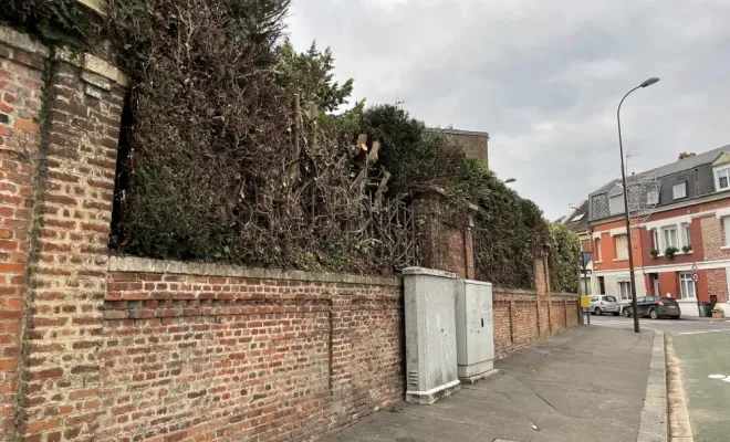 Taille de haie aux abords d'une rue à Saint-Quentin, Saint-Quentin, Avenir Vert