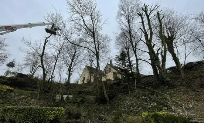 Travaux d’élagage et abattage d’arbres avec l'utilisation de nacelles vers Saint-Quentin, Saint-Quentin, Avenir Vert