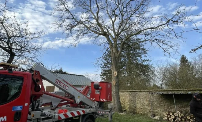 Travaux d’élagage et abattage d’arbres avec l'utilisation de nacelles vers Saint-Quentin, Saint-Quentin, Avenir Vert