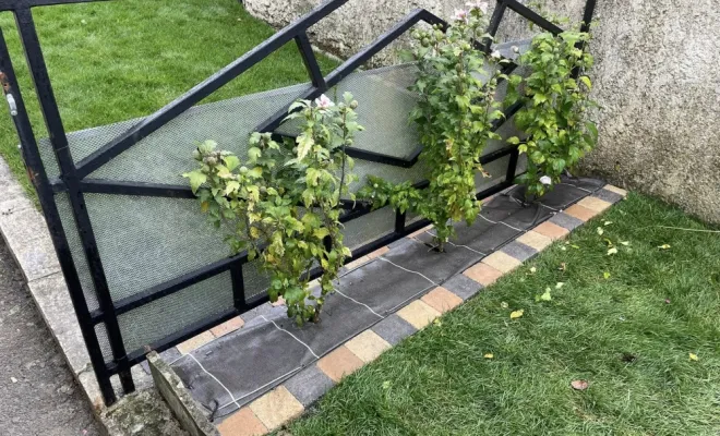 Création d'une pelouse en gazon de placage avec apport de terre végétale à Saint-Quentin, Saint-Quentin, Avenir Vert
