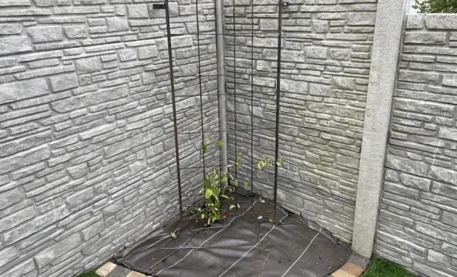 Création d'une pelouse en gazon de placage avec apport de terre végétale à Saint-Quentin, Saint-Quentin, Avenir Vert