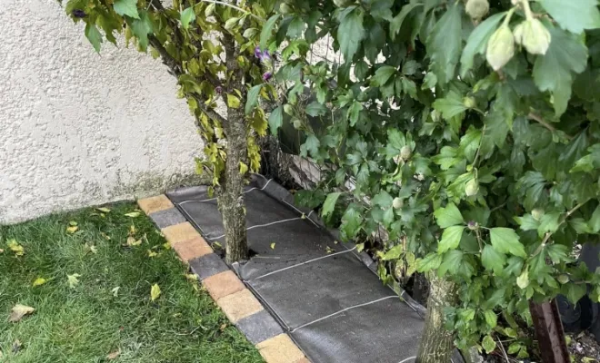 Création d'une pelouse en gazon de placage avec apport de terre végétale à Saint-Quentin, Saint-Quentin, Avenir Vert