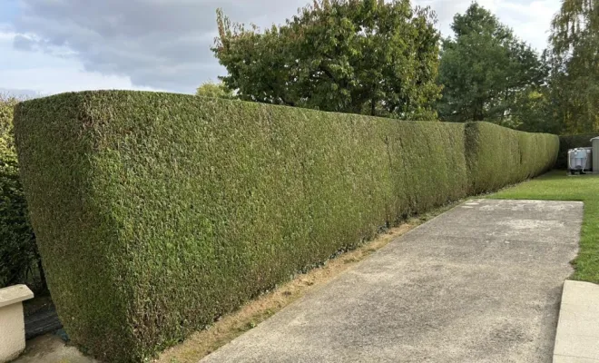 Taille de haie d'un jardin d'une maison à Remaucourt, Saint-Quentin, Avenir Vert